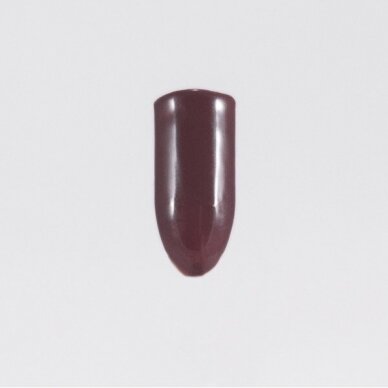 Chestnut 5ml 1