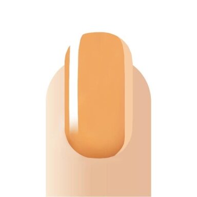 GEL POLISH B41 7ML
