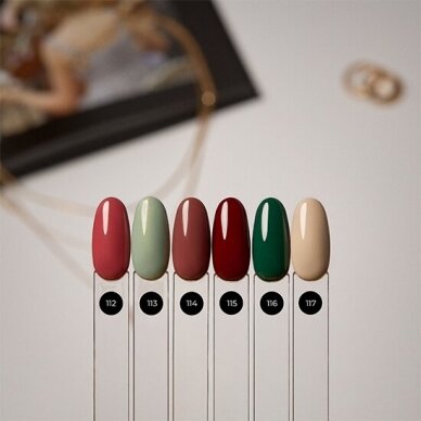 GEL POLISH B117 2