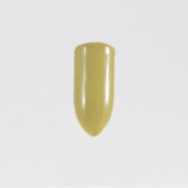 Maple 5ml 1