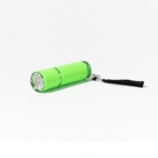 Prožektoriukas UV/LED (žalios spalvos)